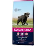 Eukanuba Senior Large Breed 2 x 15 kg – Hledejceny.cz