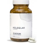 Moleqlar Qnesium Hořčík 120 kapslí – Hledejceny.cz