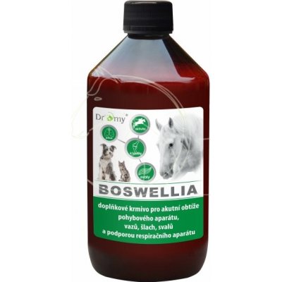 Dromy Boswellia liquid 1 l – Zbozi.Blesk.cz