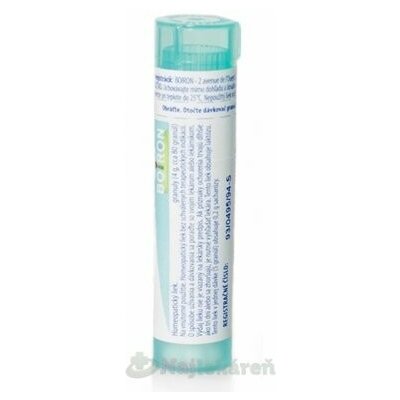 HEPAR SULFURIS CALCAREUM POR 200CH GRA 1X4G – Hledejceny.cz