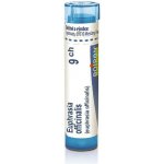 EUPHRASIA OFFICINALIS POR 9CH GRA 1X4G – Hledejceny.cz