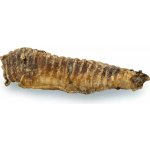 KIDDOG 100 % Natural Snack hovězí trachea 12 13 cm 100 g – Zboží Dáma