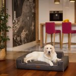 HobbyDog Pelech Glamour Inari – Zboží Dáma