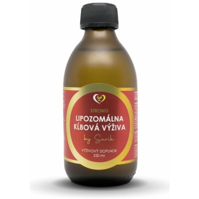 Zdravý Svet Lipozomální kloubní výživa 250 ml – Zboží Mobilmania