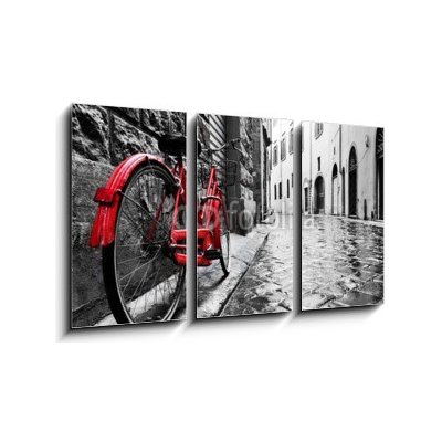 Obraz 3D třídílný - 90 x 50 cm - Retro vintage red bike on cobblestone street in the old town. Color in black and white Retro vinobraní červené kolo na dlážděné ulici ve – Zbozi.Blesk.cz