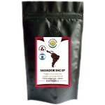 Salvia Paradise Salvador SHG EP zrnková 250 g – Hledejceny.cz