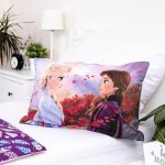 Jerry Fabrics povlečení Frozen 2 Wind 100 x 135 cm 40 x 60 cm – Zboží Dáma