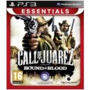 Call of Juarez: Bound in Blood