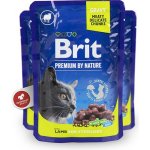 Brit Premium Cat Sterilised Lamb 100 g – Zbozi.Blesk.cz