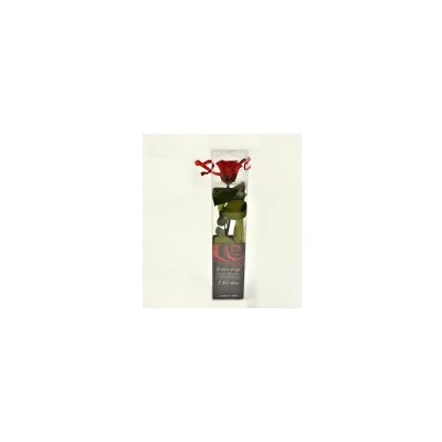 Stabilizovaná růže balená mini červená – Zboží Dáma