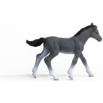 Schleich Trakénské hříbě 13944 – Hledejceny.cz