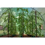 G21 200 x 300 x 200 cm zelený – Zboží Mobilmania