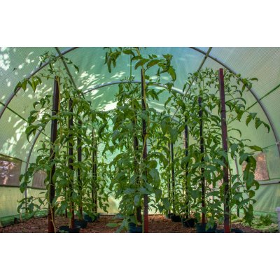 G21 200 x 300 x 200 cm zelený – Zboží Mobilmania