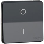 SCHNEIDER ELECTRIC SCHNEIDER MUR35034 Spínač dvojpólový ř.2 16AX, IP5 – Hledejceny.cz