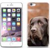 Pouzdro a kryt na mobilní telefon Apple Pouzdro mmCase Gelové iPhone 6/6S Plus - hnědý labrador