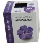 Rentex vonný vosk palmový do aroma lampy kostky Brčál 8 ks 30 g – Hledejceny.cz