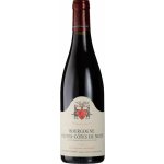 Geantet-Pansiot Bourgogne Hautes Cotes de Nuits 2020 Červené 14,5% 0,75 l (holá láhev) – Hledejceny.cz