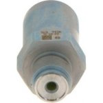Ventil omezení tlaku, Common-Rail-Systém BOSCH 1 110 010 034 1 110 010 034