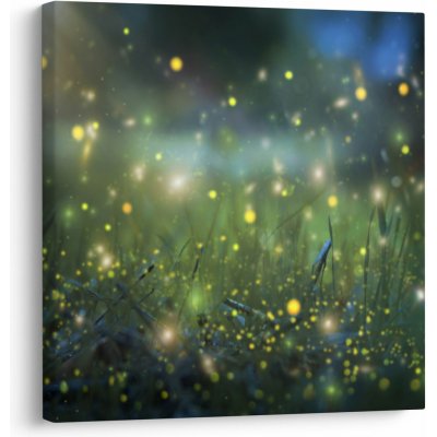 Obraz - Kouzelná noc, jednodílný 30x30 cm – Hledejceny.cz