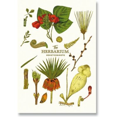 Shkolyaryk Náčrtník A5 čistý 64listů – Zboží Dáma