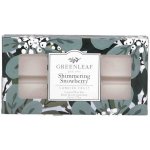 Greenleaf Vonný vosk shimmering snowberry 73 g – Zboží Dáma