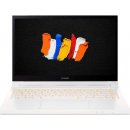 Acer ConceptD 3 NX.C6NEC.001