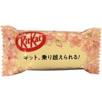 KitKat Mini Sakura 11,6 g – Zboží Dáma