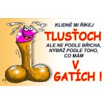Průkaz Klidně mi říkej tlusťoch – Hledejceny.cz