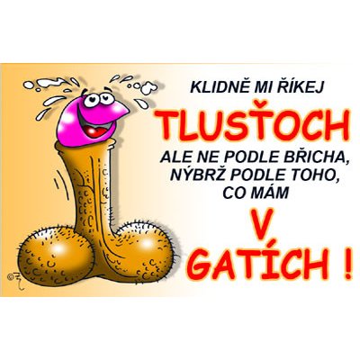 Průkaz Klidně mi říkej tlusťoch – Hledejceny.cz