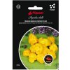 Osivo a semínko Piquant TRINIDAD MORUGA SCORPION YELLOW semínka chilli papriček, 8 s