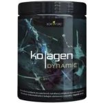 Bornature Kolagen Dynamic sport a regenerace 300 g – Hledejceny.cz