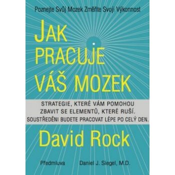 Jak pracuje váš mozek - David Rock