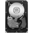 Seagate Cheetah 15K.7 300GB, 3,5", 1500rpm, SAS, ST3300657SS