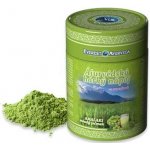 Everesr Ayrveda Ájurvédský horký nápoj AMALAKI mladý ječmen 100 g – Hledejceny.cz