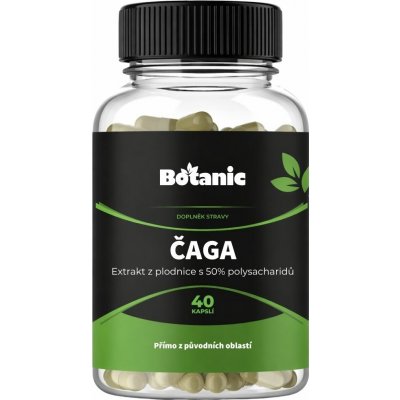 Botanic Čaga Extrakt z plodnice s 50% polysacharidů 40 kapslí – Hledejceny.cz