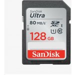 SanDisk SDXC Class 10 128 GB SDSDUNB-128G-GN6IN – Zbozi.Blesk.cz