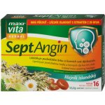 MaxiVita SeptAngin lišejník islandský 16 pastilek – Hledejceny.cz