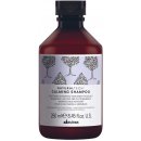 Davines NATURALTECH Calming zklidňující šampon 250 ml