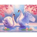 Norimpex Diamantové malování Labutí píseň 30 x 40 cm – Hledejceny.cz