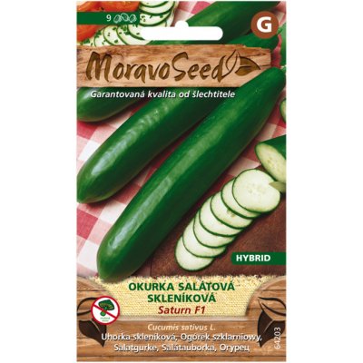 Nohel Garden Okurka salátová SATURN F1 - hybrid, do skleníku 64203 – Zboží Mobilmania