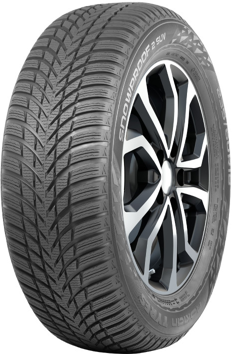 Nokian Tyres Snowproof 2 205/55 R16 91H