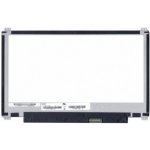 Displej na notebook Asus E200HA-FD0080TS Display 11,6“ LED 30pin eDP - Matný – Hledejceny.cz