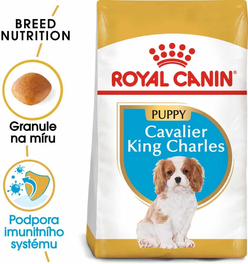 Royal Canin BHN Cavalier King Charles Puppy 4,5 kg