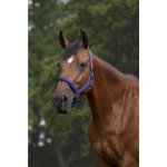 NORTON Ohlávka Nylon Neopren královsky modrá – Sleviste.cz