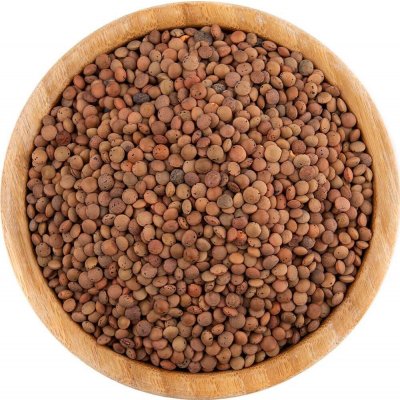 Vital Country Čočka hnědá bio 0,5 kg – Zboží Dáma