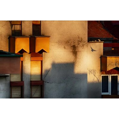 Fotografie - Palceska, Anita: ranní projekce - reprodukce obrazu – Sleviste.cz