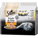 Sheba Fresh & Fine Drůbeží výběr ve šťávě 15 x 50 g – Zboží Mobilmania