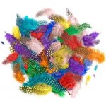 DP Craft Dekorativní bažantí peří mix barev 4-7 cm, 10 g. jasné barvy – Hledejceny.cz