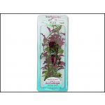 Tetra rostlina Red Ludwigia 23 cm – Zboží Mobilmania