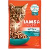 Kapsička pro kočky ams Cat Kitten Delights Chicken gravy 85 g